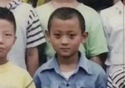 娱乐圈没有瓜吃,瓜田空空，幕后故事待揭秘